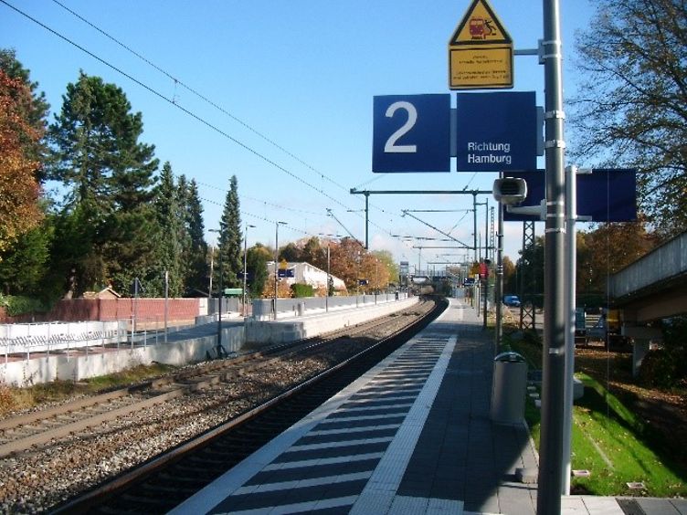 Sagehorn